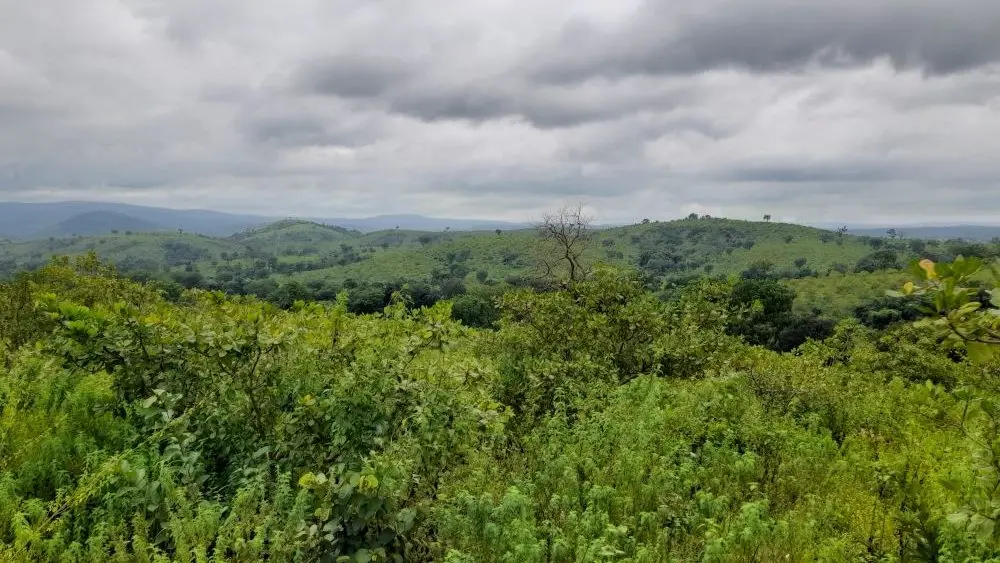 Paysage de collines verdoyantes de l'aire de Malfakassa-Fazao sous un ciel nuageux