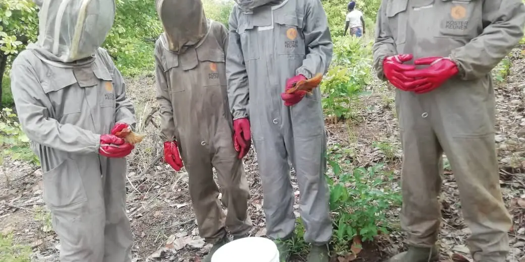 Apiculteurs d'Affem au rucher-école, au travail parmi les ruches