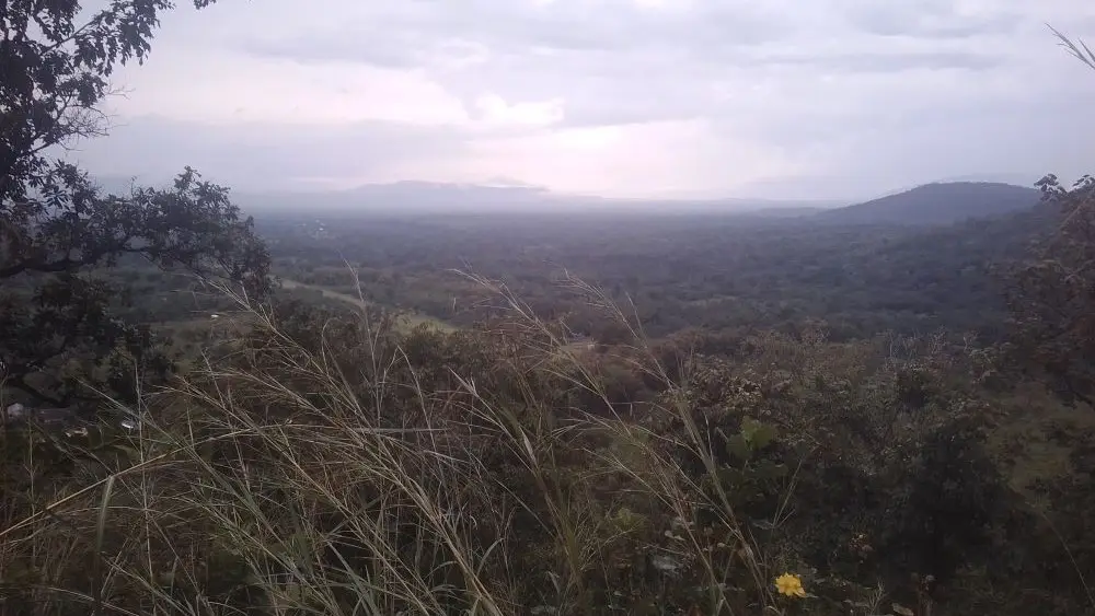 The Danyi plateau at dusk, looking out over the plain and the hills