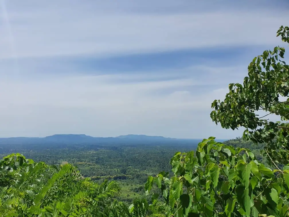 Paysage du plateau de Danyi, collines verdoyantes sous un ciel dégagé