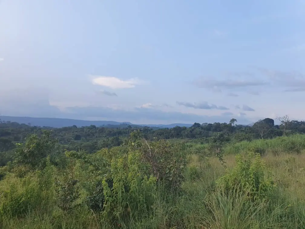 Reliefs et collines verdoyantes de l'aire de Malfakassa-Fazao