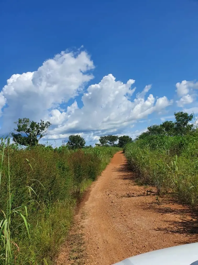 Piste de terre rouge filant vers les ruchers, sous un grand ciel togolais